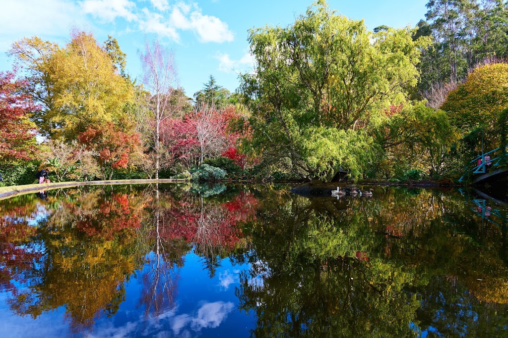 Gardens of Tieve Tara | park | 751 Mount Macedon Rd, Mount Macedon VIC 3441, Australia | 0455187868 OR +61 455 187 868