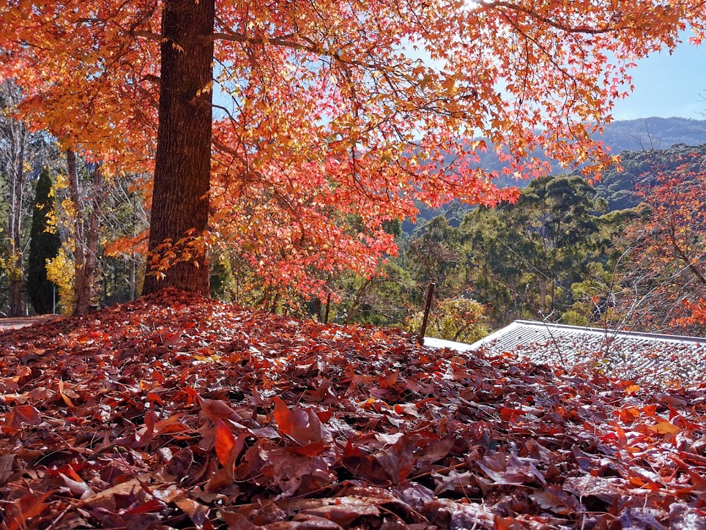 Bogong Centre for Sound Culture |  | 0, Wingen NSW 2337, Australia | 0357544273 OR +61 3 5754 4273