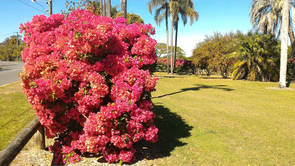 Thomas Park Bougainvillea Gardens | Indooroopilly QLD 4068, Australia