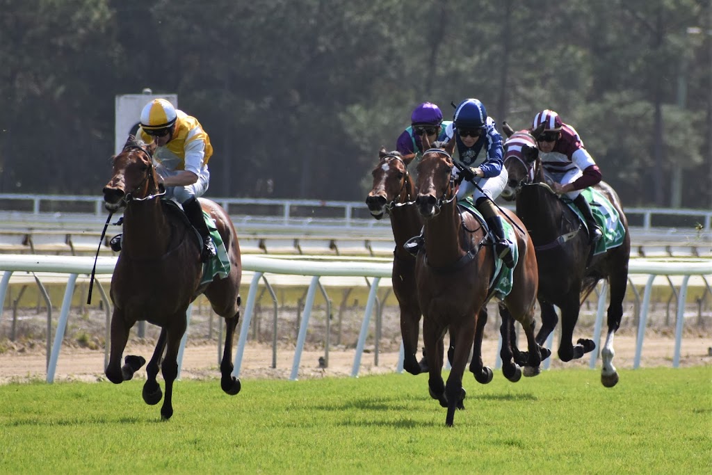 Coffs Harbour Racing Club and Function Centre | 62 Howard St, Coffs Harbour NSW 2450, Australia | Phone: (02) 6652 1488