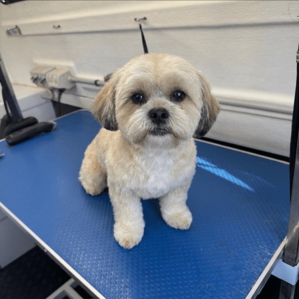 Jims Dog Wash Mill Park West | 55 Laurimar Hill Dr, Doreen VIC 3754, Australia | Phone: 0432 622 950