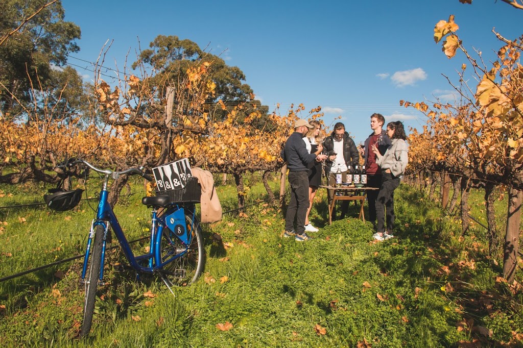 Spinway Bike Hire @ Hither & Yon | 17 High St, Willunga SA 5172, Australia | Phone: (08) 8556 2082