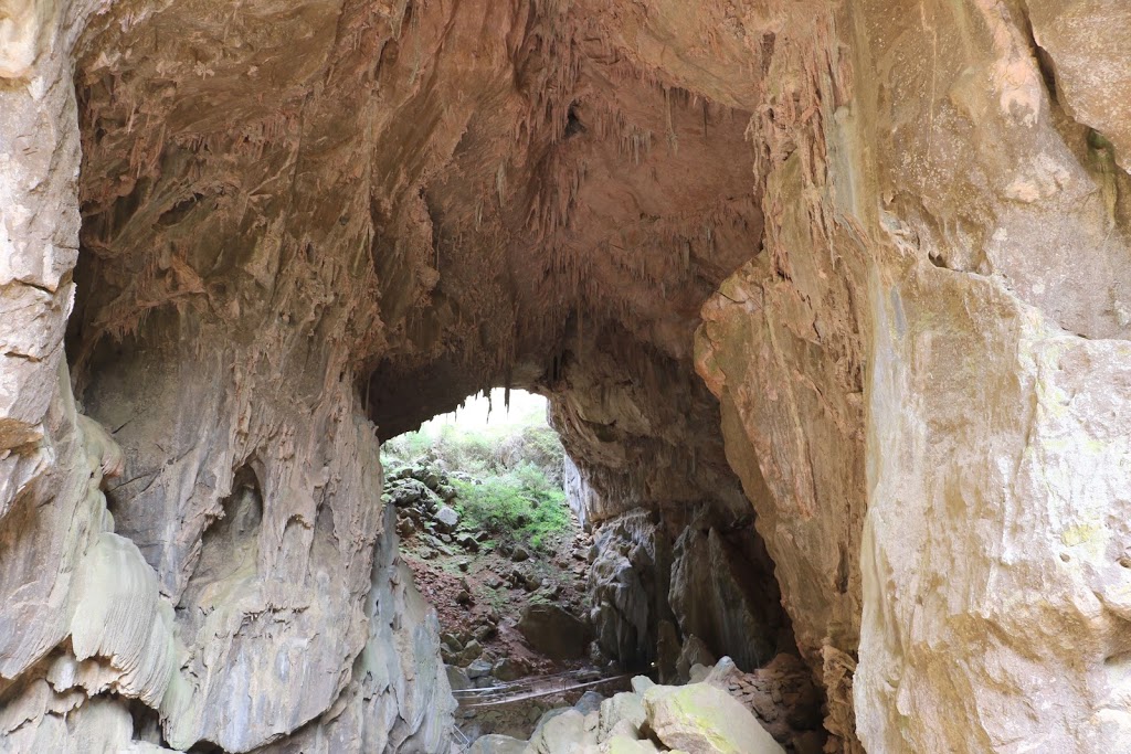 Fig Tree Cave | Caves Track, Wombeyan Caves NSW 2580, Australia | Phone: (02) 4843 5976