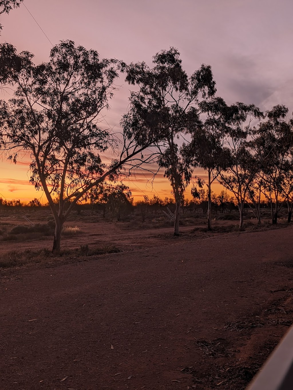 Quondong Station | Quondong Station, Eastern Rd, Burra SA 5417, Australia | Phone: (08) 8892 9654