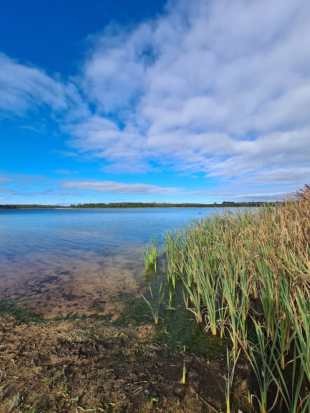 Devilbend Reservoir Melbourne Water | 470 Derril Rd, Moorooduc VIC 3933, Australia | Phone: (03) 5978 8234