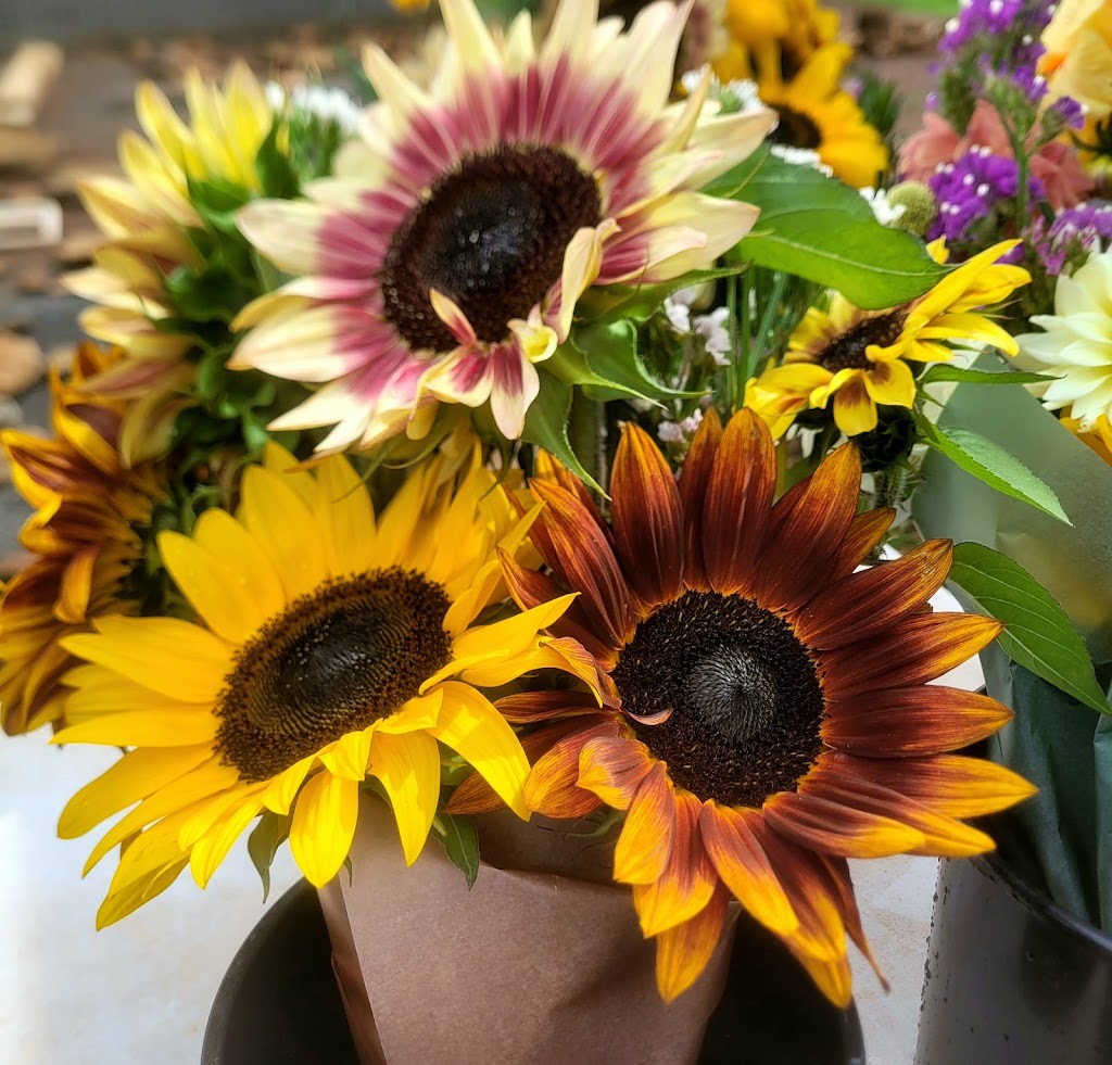 Beautiful blooms Guyra | 19 Lakeview Rd, Guyra NSW 2365, Australia | Phone: 0497 761 444