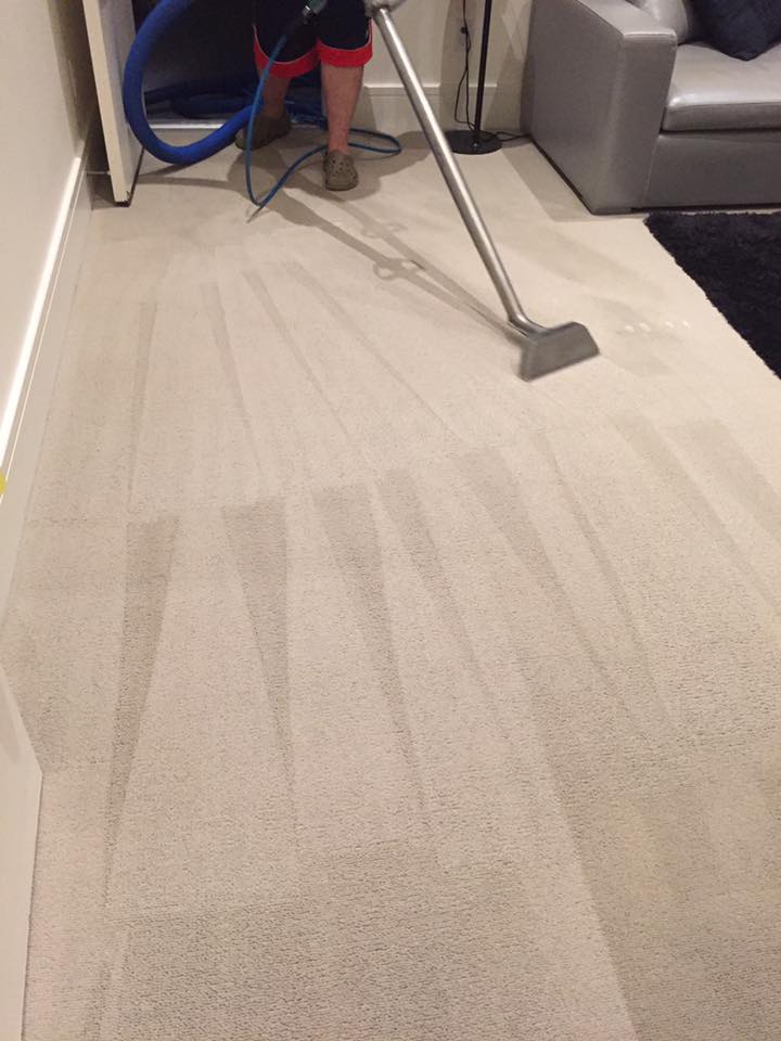 CY Carpet Cleaning Templestowe | laundry | 18 Tatterson Ct, Templestowe VIC 3106, Australia | 0281884581 OR +61 2 8188 4581