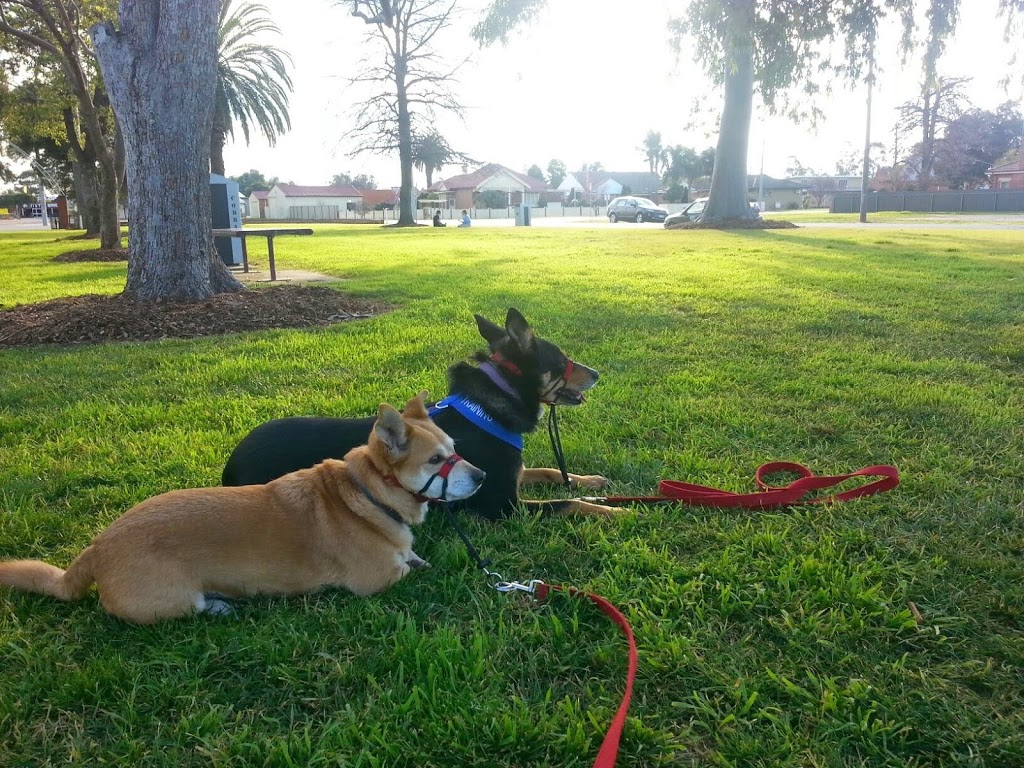 Manners Under Distraction Dog Training Cobram |  | 10 Arramagong St, Barooga NSW 3644, Australia | 0402662879 OR +61 402 662 879