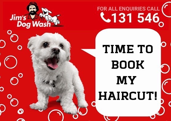 Jims Dog Wash Rokeby | 84 Grange Rd W, Rokeby TAS 7019, Australia | Phone: 0483 092 411