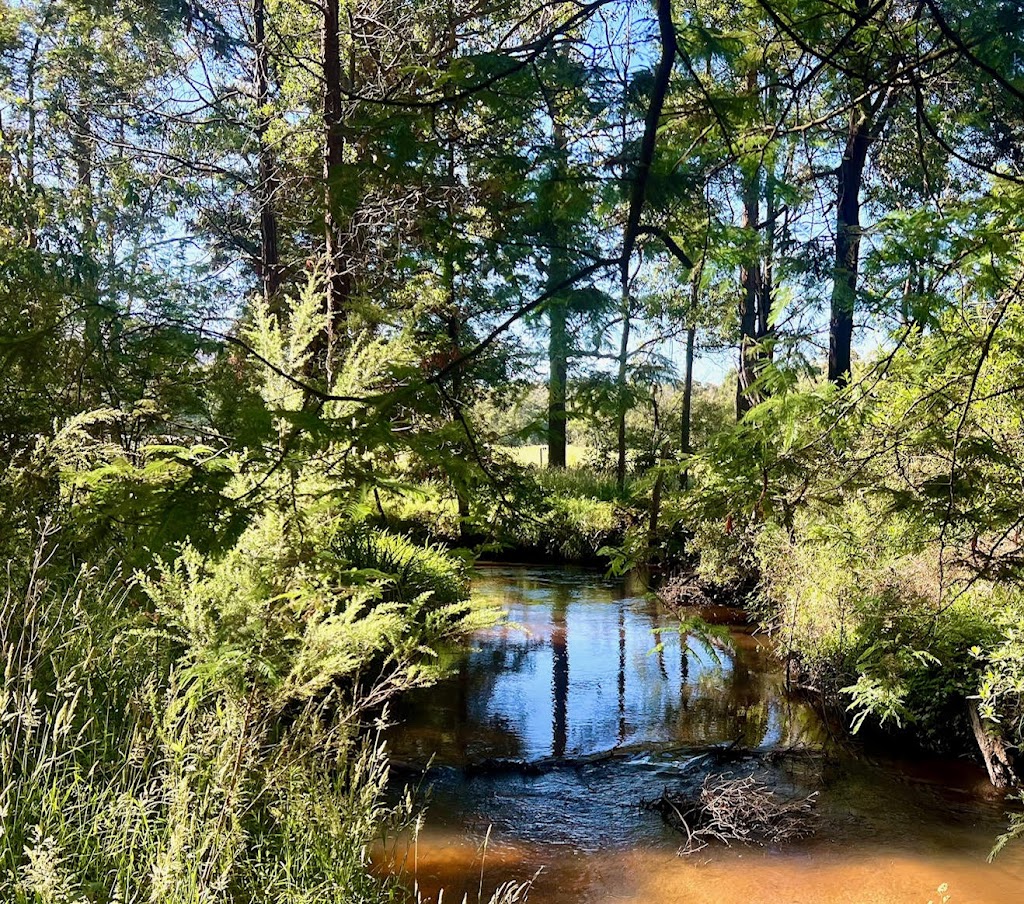 Yarra Valley Caravan Park | 160 Tarrango Rd, Yarra Junction VIC 3797, Australia | Phone: 0477 677 310