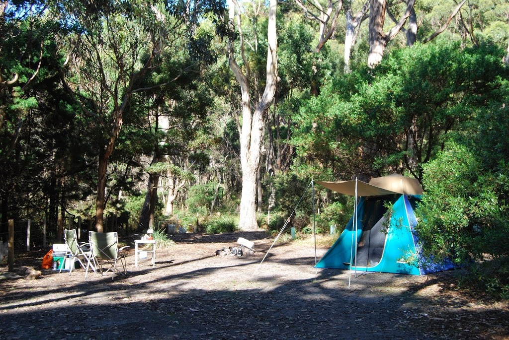 Fortescue Bay Camping Ground, Tasman National Park. | campground | Fortescue TAS 7182, Australia | 0362502433 OR +61 3 6250 2433