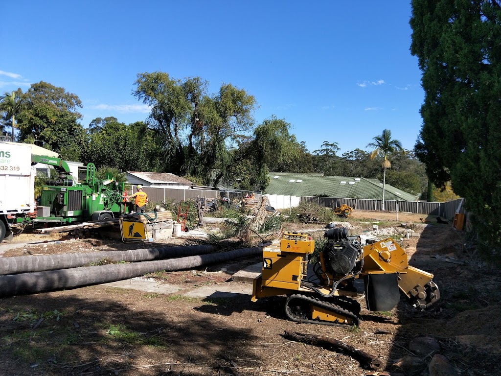 Kingdoms Tree Care | 24 Fairway Dr, Terrigal NSW 2260, Australia | Phone: 0418 432 319