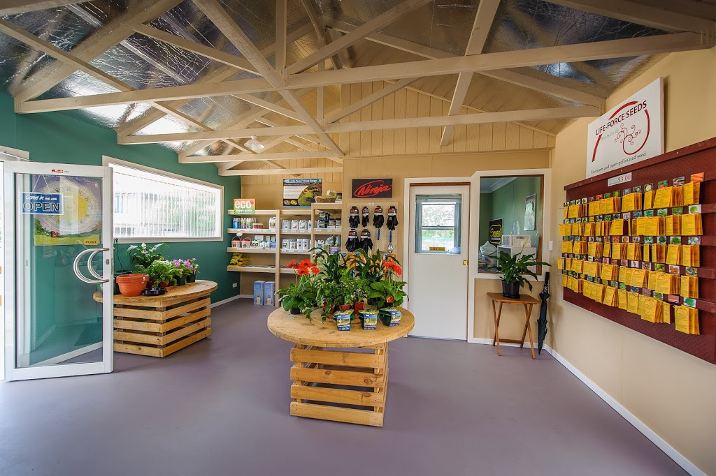 Little Ladybird Plant Nursery | 164 Bridge St, Uralla NSW 2358, Australia | Phone: (02) 6778 3098