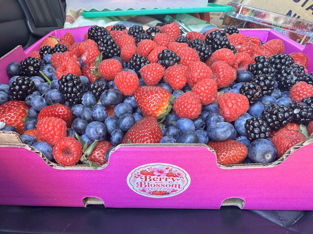 Berry and Blossom Fruit Co | 535 Bells Creek Rd, Bells Creek QLD 4551, Australia | Phone: 0403 467 553