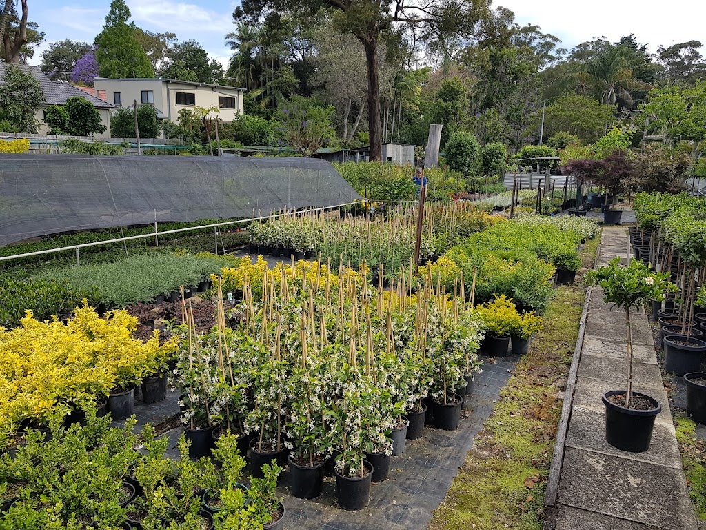 Flora Nursery | 73a Pitt Town Rd, Kenthurst NSW 2156, Australia | Phone: (02) 9654 9670