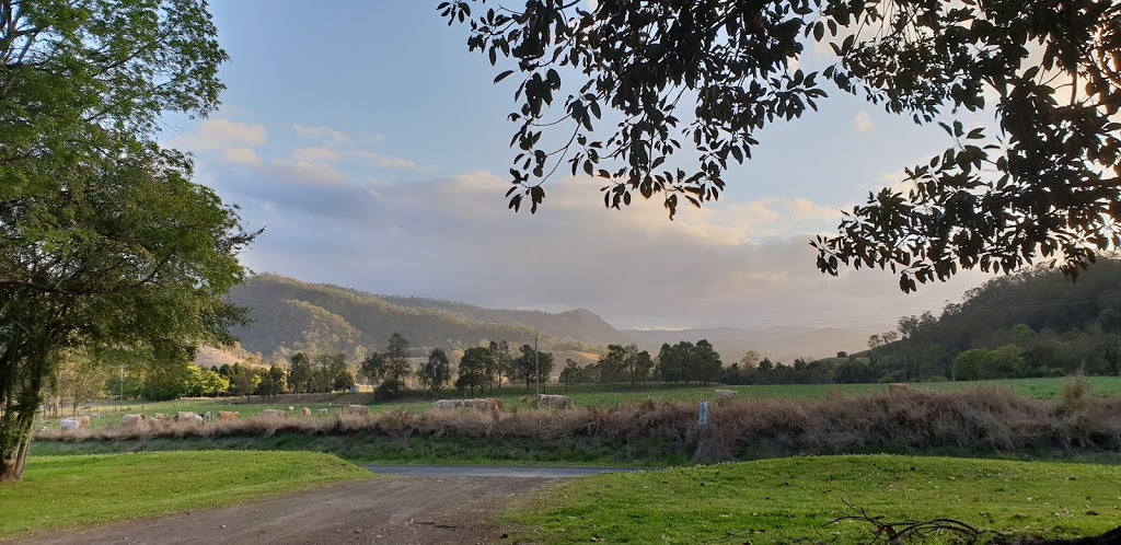 Moore Park Nature Reserve | park | Old Grevillia NSW 2474, Australia