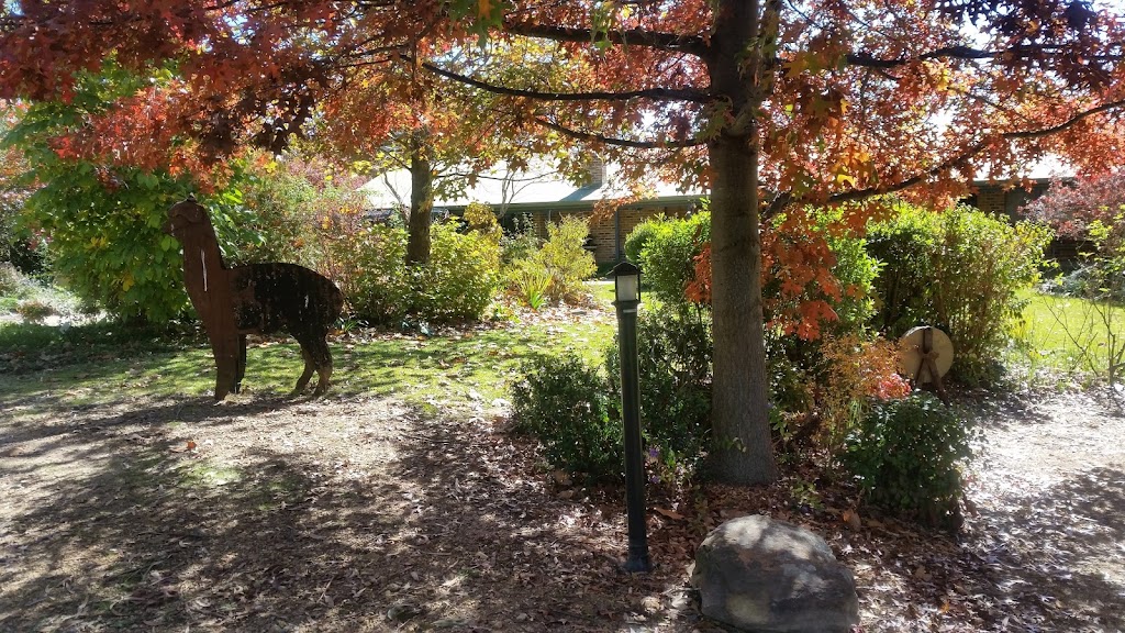 GLENHOPE ALPACAS | 59 Redgum Ln, Armidale NSW 2350, Australia | Phone: 0422 969 310