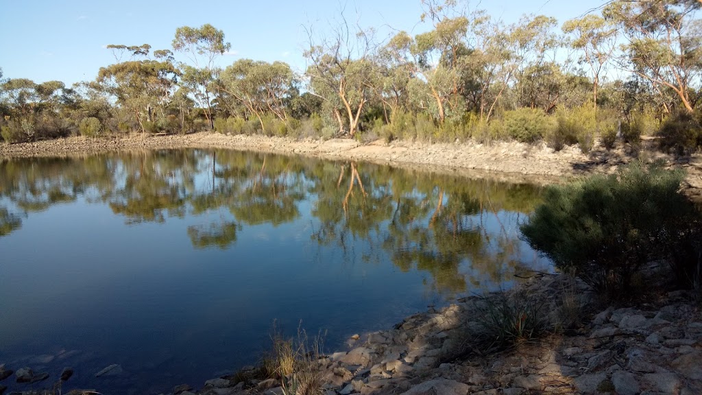 Goldfields Woodlands National Park | Great Eastern Hwy, Victoria Rock WA 6429, Australia | Phone: (08) 9080 5555