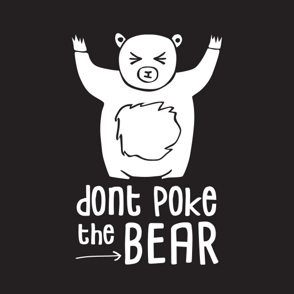 dont Poke the BEAR | electronics store | 40 Gordon Ave, Geelong West VIC 3218, Australia | 1300650892 OR +61 1300 650 892