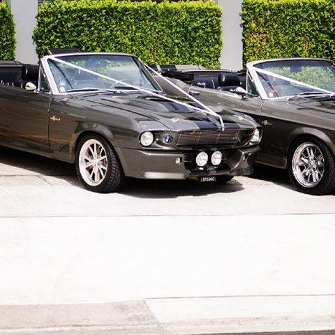 Sydney Mustangs Wedding Cars | car rental | 77 Planthurst Rd, Carlton NSW 2218, Australia | 0417455488 OR +61 417 455 488