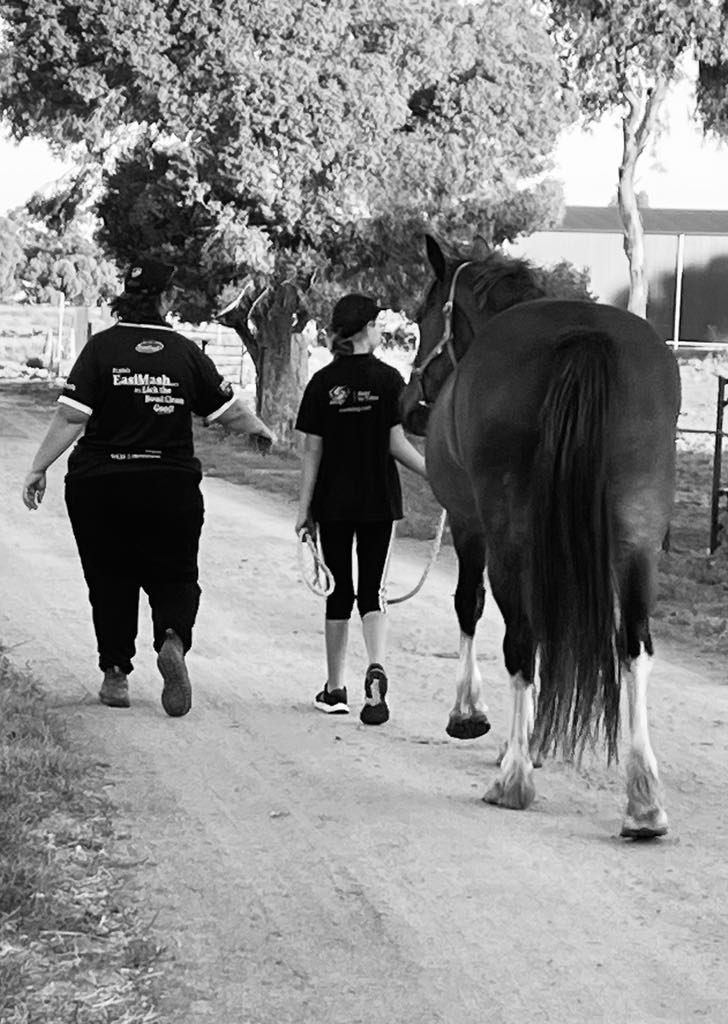 Rekcut Equine | 47 Penglase Ln, Barham NSW 2732, Australia | Phone: 0400 075 020