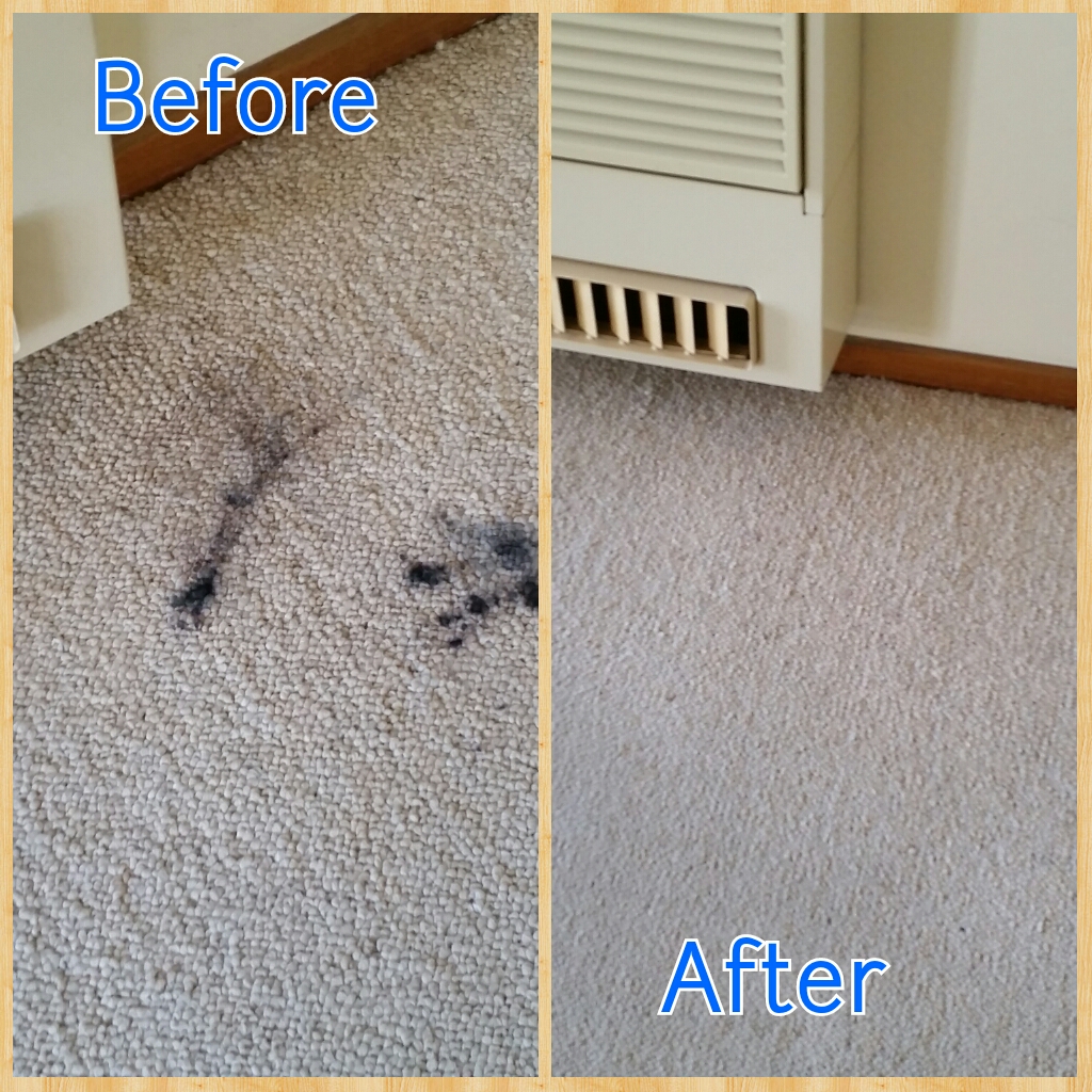 Valley Carpet Care - Carpet Cleaning & Floor Restoration | laundry | 40 Joe Ford Dr, Tatura VIC 3616, Australia | 0418577077 OR +61 418 577 077