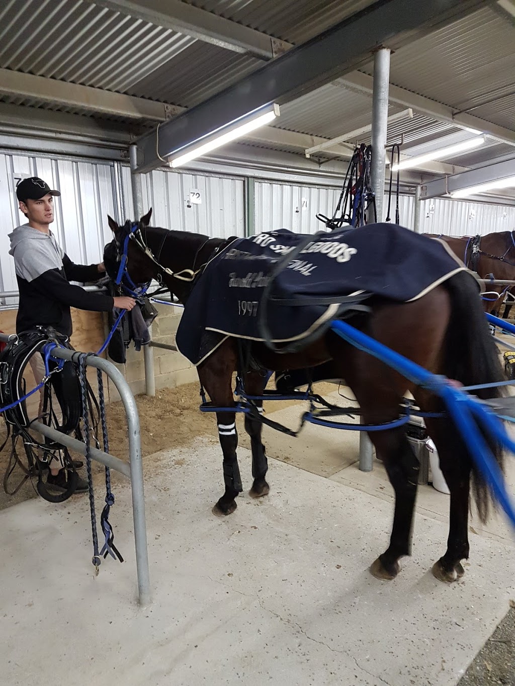 Echuca Harness Racing Club | Simmie St, Echuca VIC 3564, Australia | Phone: (03) 5482 2036