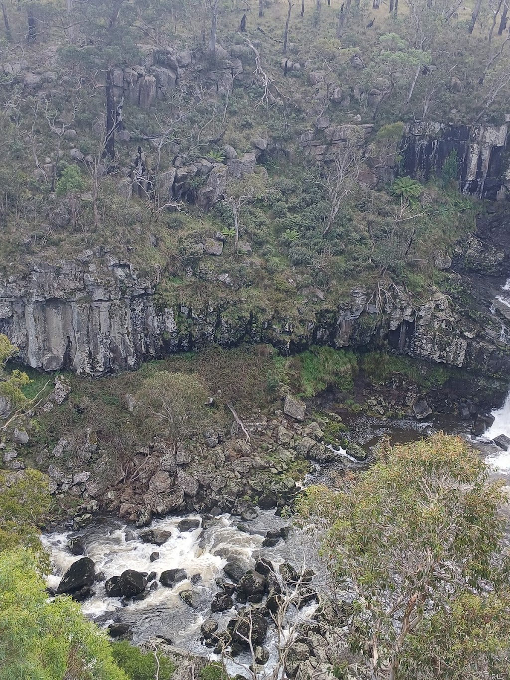 Upper Falls loop walk | Ebor Walking Track, Ebor NSW 2453, Australia | Phone: 1300 072 757