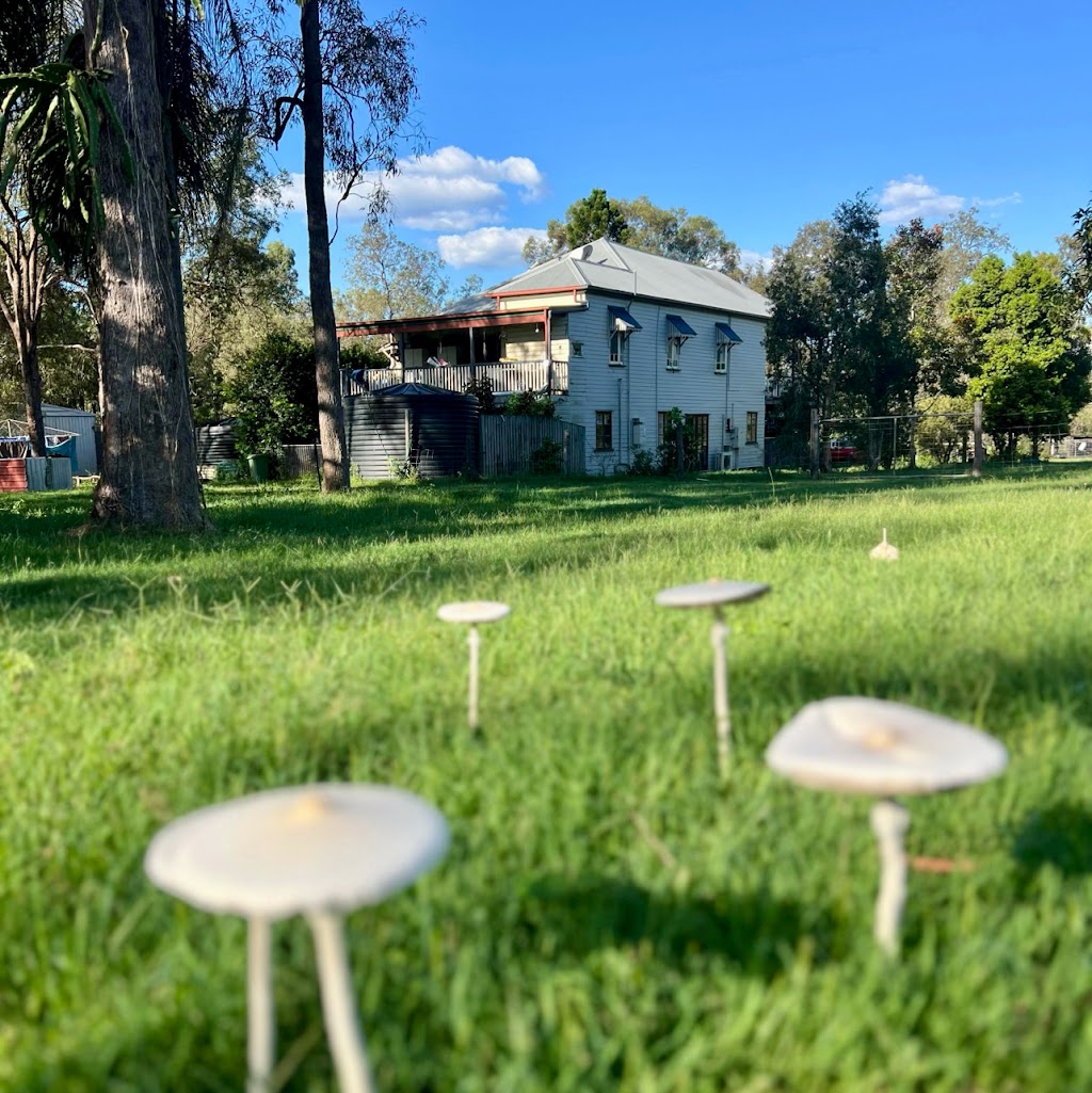 Seehorse Meadows | 39 Jamieson Rd, Churchable QLD 4311, Australia | Phone: 0433 263 783