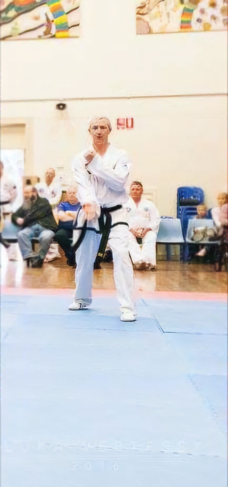 Harmonious Dojang Australia | 91 Grand Scenic Dr, Brookfield VIC 3338, Australia | Phone: 0447 964 456