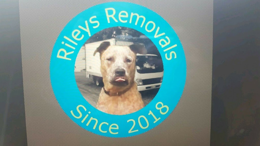 Rileys Removals | moving company | Dibbs St, East Lismore NSW 2480, Australia | 0449507475 OR +61 449 507 475