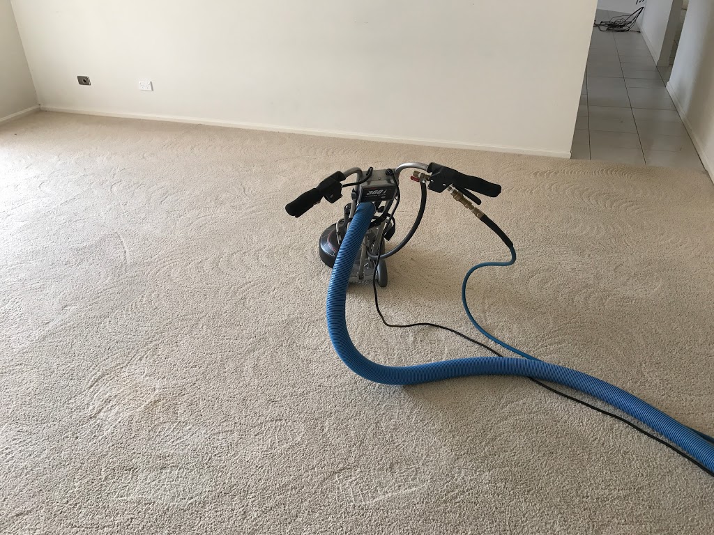 Newcastle carpet and tile cleaning | 51 Lambton Rd, Waratah NSW 2298, Australia | Phone: (02) 4009 1571