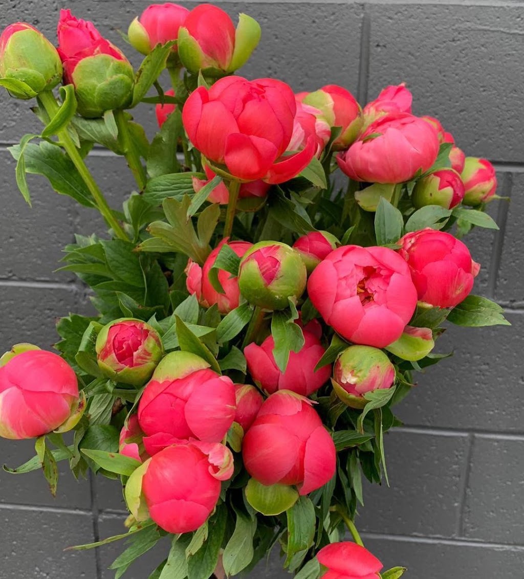 Just Flowers | 1/54 Browns Rd, Kingston TAS 7050, Australia | Phone: (03) 6227 2404