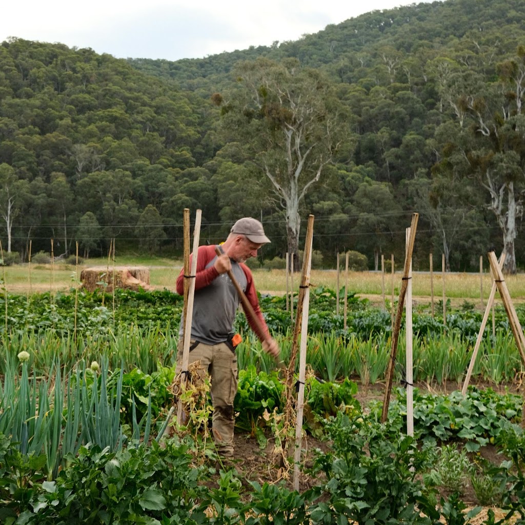Small Patch Smoko | 1753 Great Alpine Rd, Smoko VIC 3741, Australia | Phone: 0435 079 890