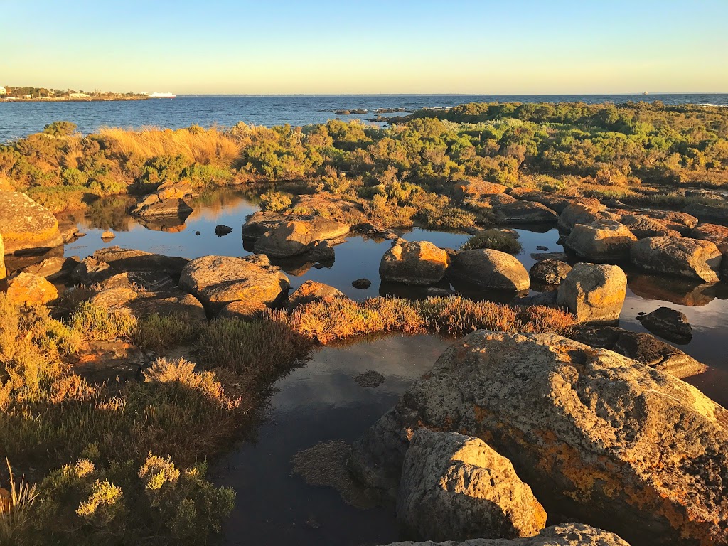 Jawbone Nature Conservation Reserve | Williamstown VIC 3016, Australia