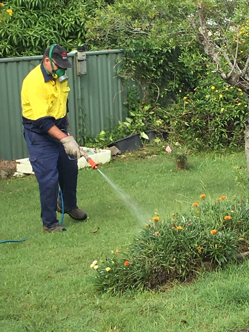 Terminator Ant and Pest Control | 22 Nambucca St, Nambucca Heads NSW 2448, Australia | Phone: 0429 688 522