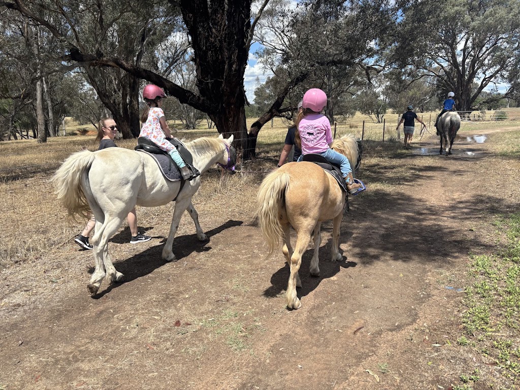 JW Equestrian | 109 Ryans Access Rd, Barnawartha VIC 3688, Australia | Phone: 0418 415 159