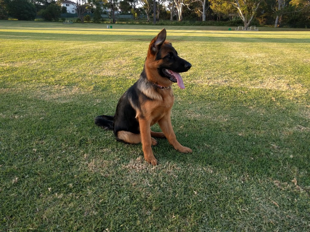 Sutherland Shire Dog Training Club Inc |  | Waratah Park, Rawson Ave, Sutherland NSW 2232, Australia | 0295211633 OR +61 2 9521 1633