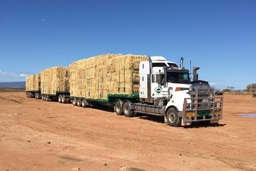 Balowery Pastoral Company | 777 Plains Rd, Erith SA 5461, Australia | Phone: 0438 621 326