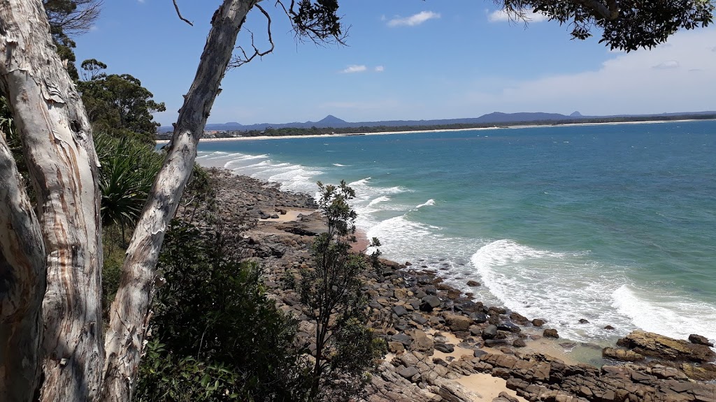 Noosa National Park | park | Palm Grove Circuit, Noosa Heads QLD 4567, Australia