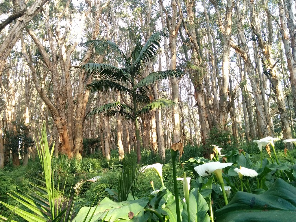 Lachlan Swamp | park | Centennial Park NSW 2021, Australia | 0292659333 OR +61 2 9265 9333