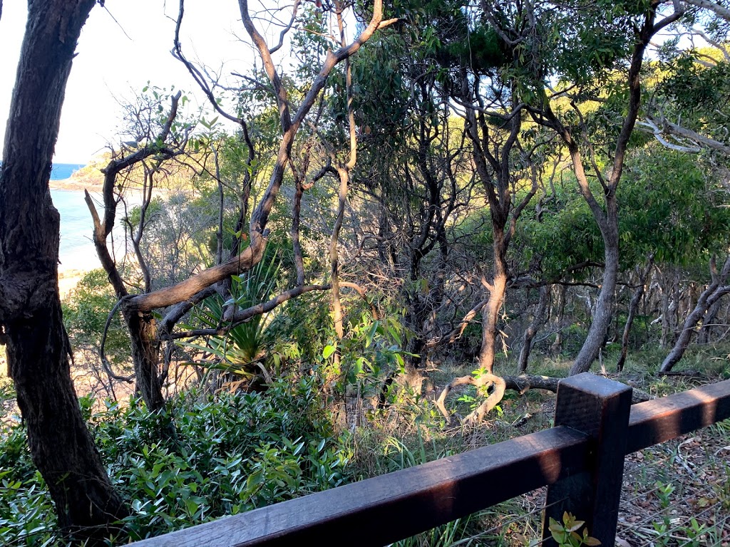 Boiling Pot Lookout | tourist attraction | Coastal Walk, Noosa Heads QLD 4567, Australia | 137468 OR +61 137468