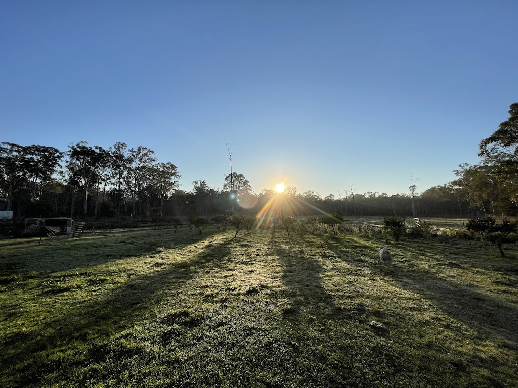 Little Farm Friends | 128 Floribunda Rd, Kemps Creek NSW 2178, Australia | Phone: 0450 505 607