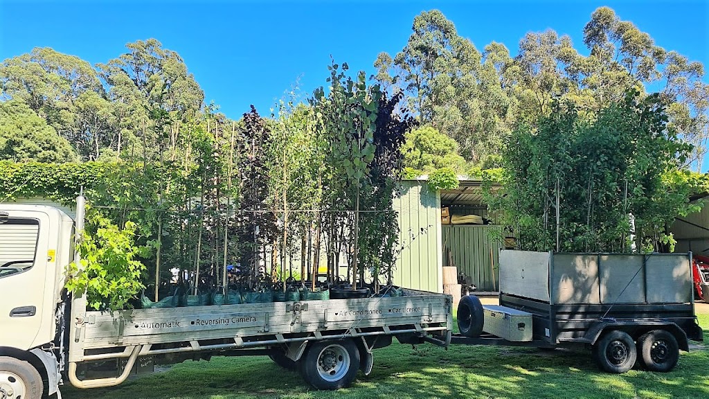 Online Tree Farm | 11 Fitzroy St, Wilton NSW 2571, Australia | Phone: 0410 791 288