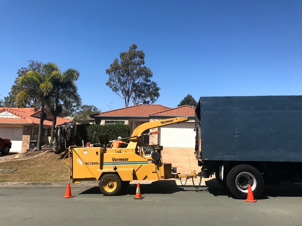 Boss Tree Services - Brisbane Tree Maintenance & Removals | 59-61 Granger Rd, Park Ridge QLD 4125, Australia | Phone: (07) 3133 3199