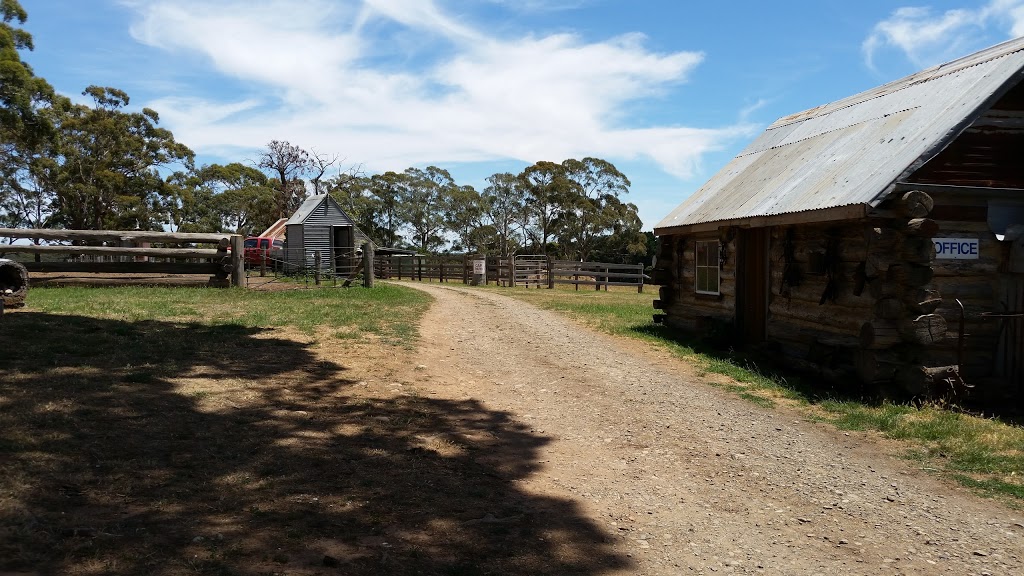 Silver Brumby Trails | travel agency | 560 Shepherds Hill Rd, Spring Hill VIC 3444, Australia | 0429589611 OR +61 429 589 611