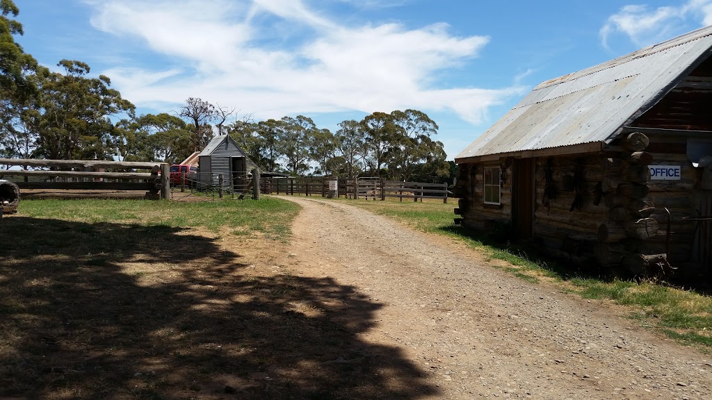 Silver Brumby Trails | 560 Shepherds Hill Rd, Spring Hill VIC 3444, Australia | Phone: 0429 589 611