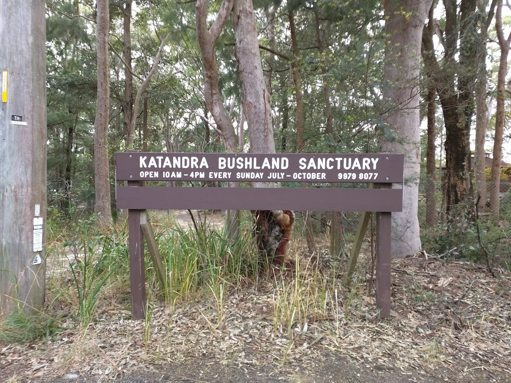 Katandra Bushland Sanctuary | park | 20 Ln Cove Rd, Ingleside NSW 2101, Australia | 0299798077 OR +61 2 9979 8077