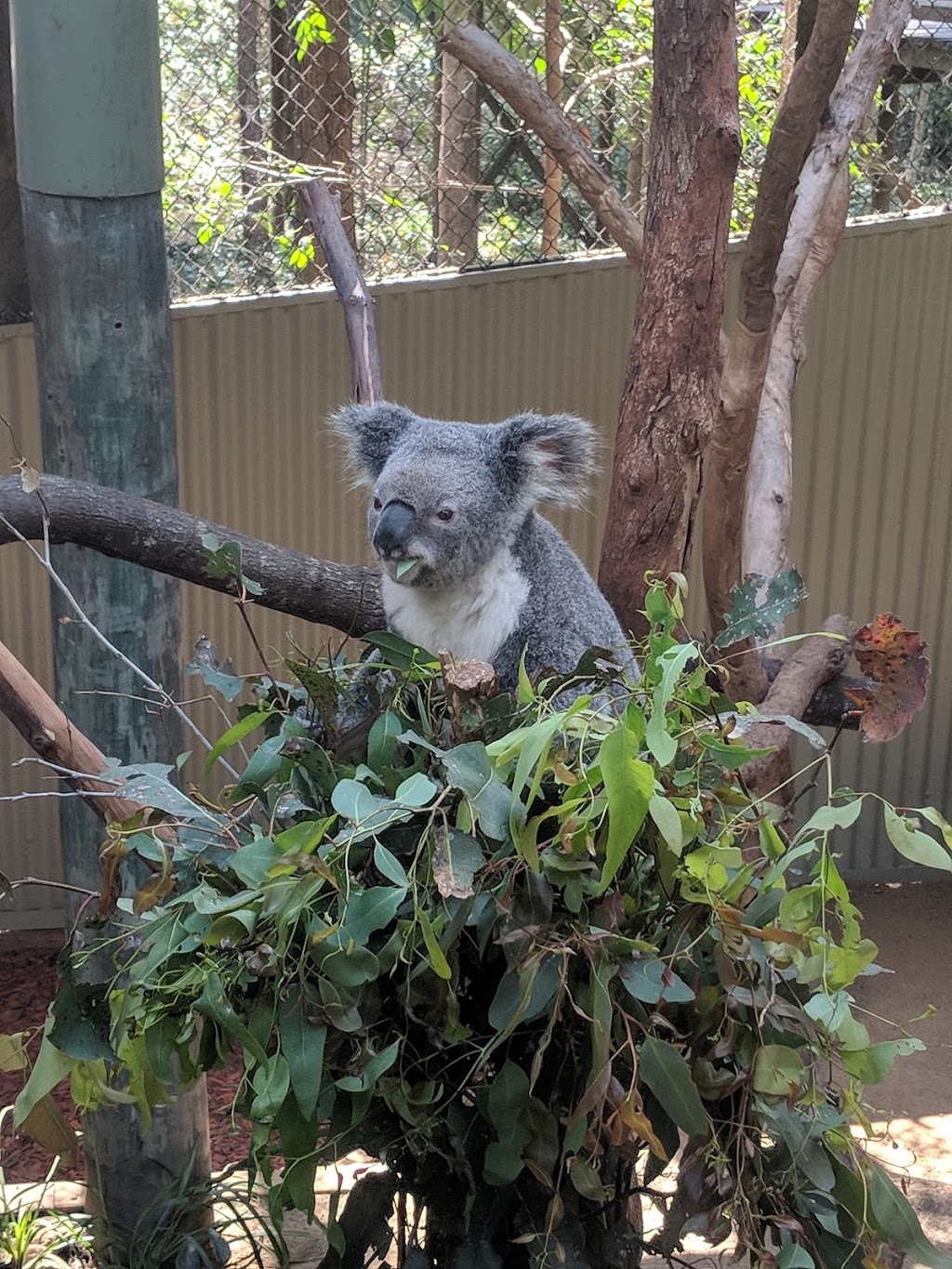 Daisy Hill Conservation Park | park | Daisy Hill Rd, Daisy Hill QLD 4127, Australia | 1300130372 OR +61 1300 130 372