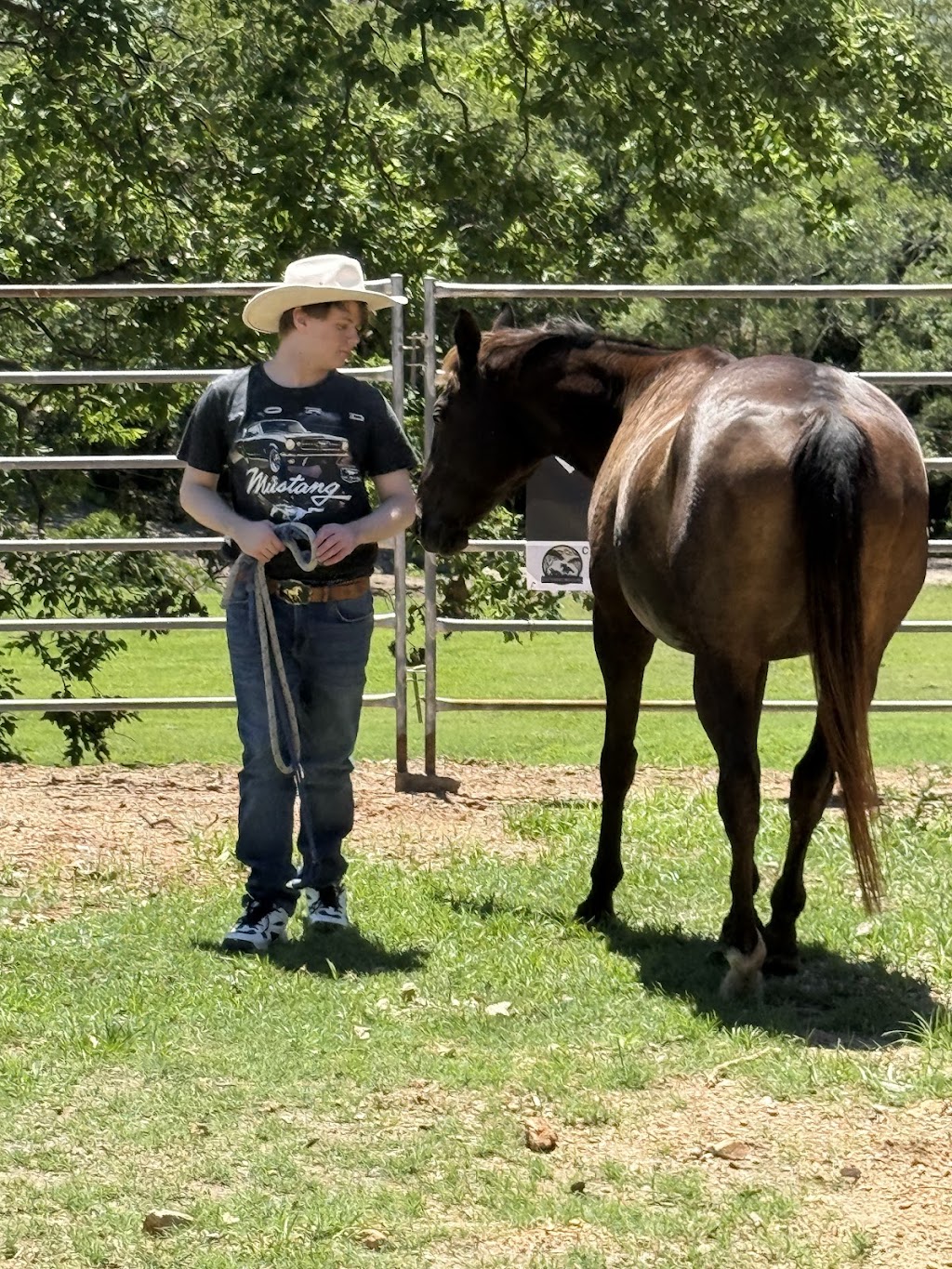 Brumbies Hollow Cabin Stay and Equine Experiences | *, Highvale QLD 4520, Australia | Phone: (07) 3289 7912